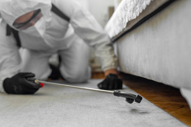Professional Bed Bug Control technician working in Hebron, PA